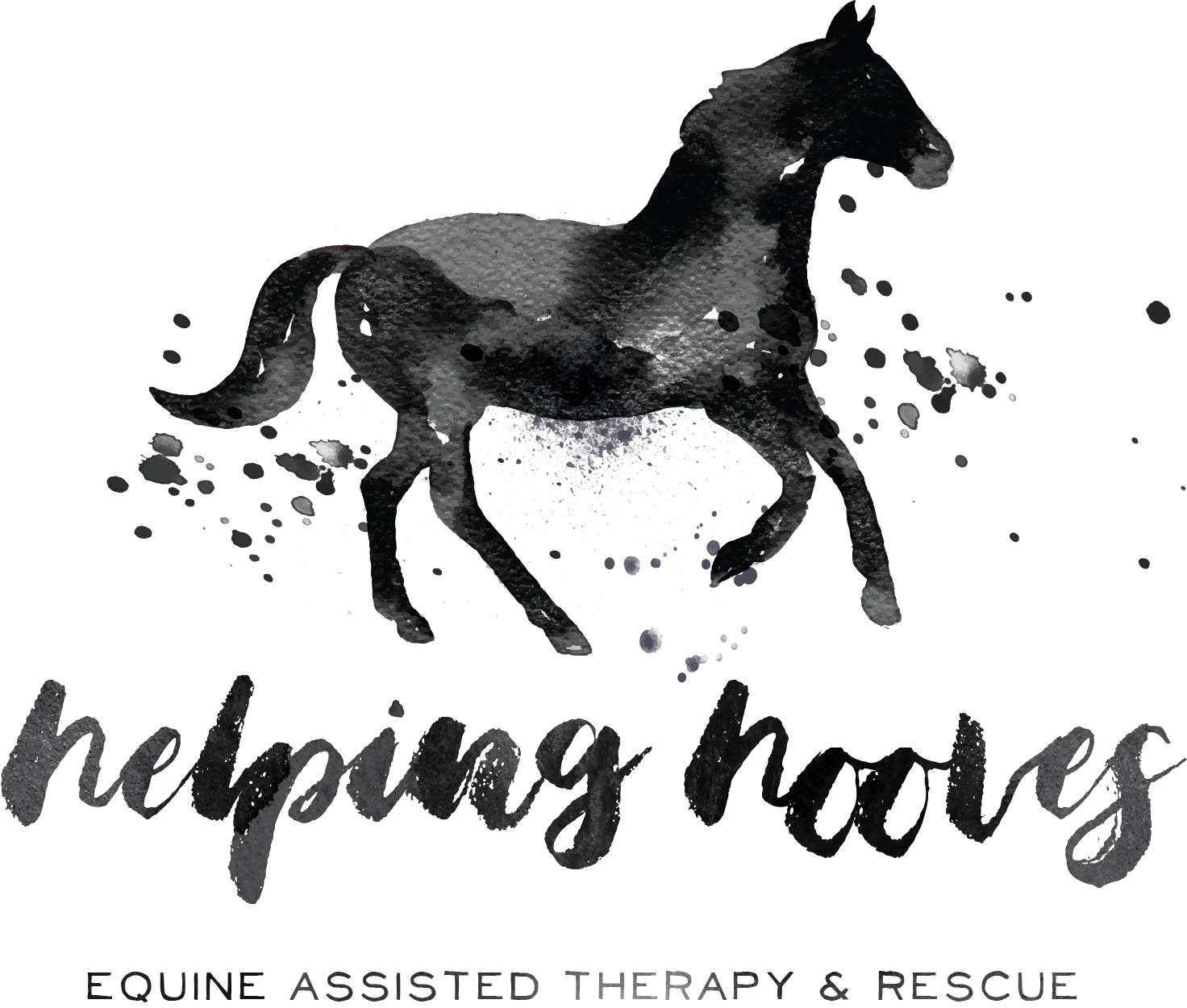 Helping Hooves Dillon, MT Equine Assisted Therapy, Equine Rescue, Horse Rescue