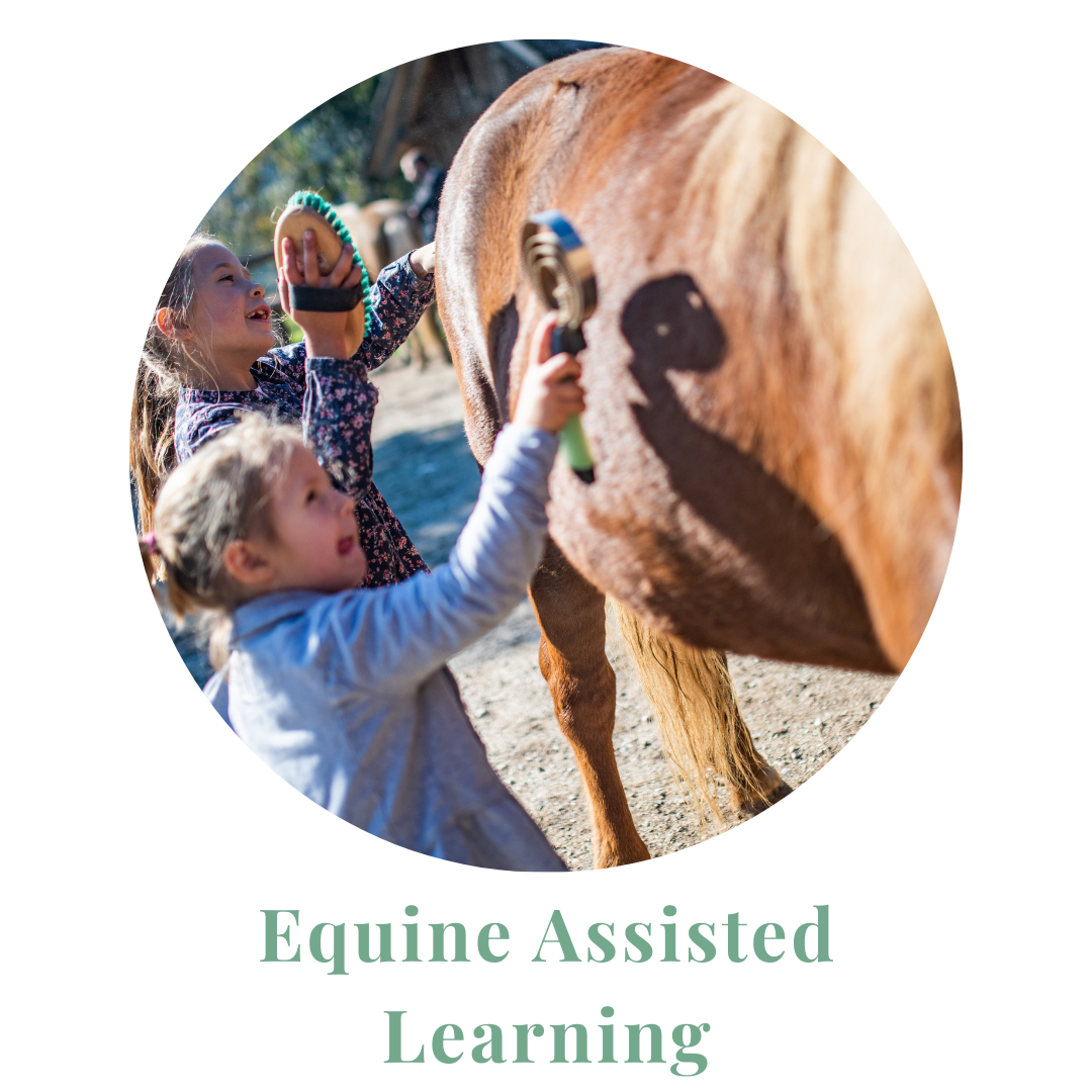 Equine Assisted Learning