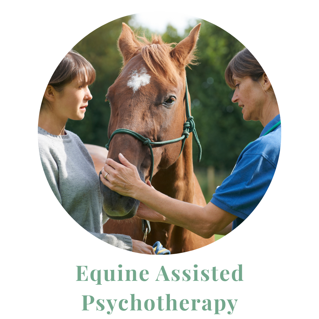 A therapist and client working with a horse.